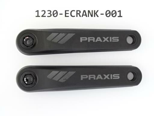 Giant E- Crank Arm